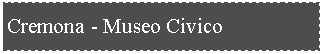 Casella di testo: Cremona - Museo Civico